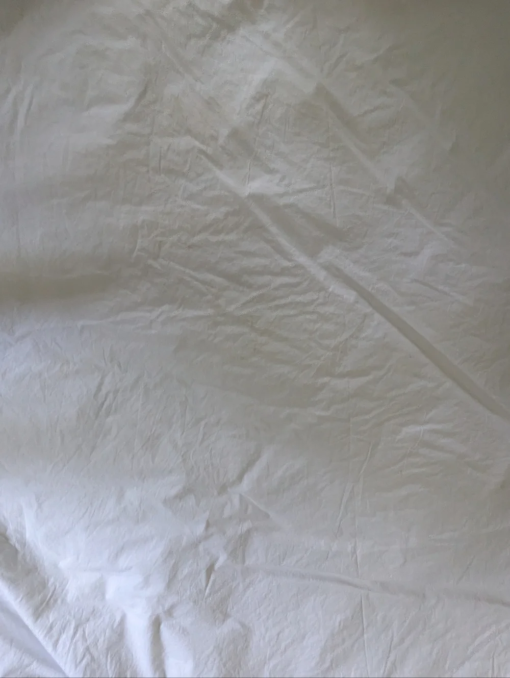 Pottery Barn White Green Bamboo Botanical Duvet Cover Full Queen Organic Cotton
